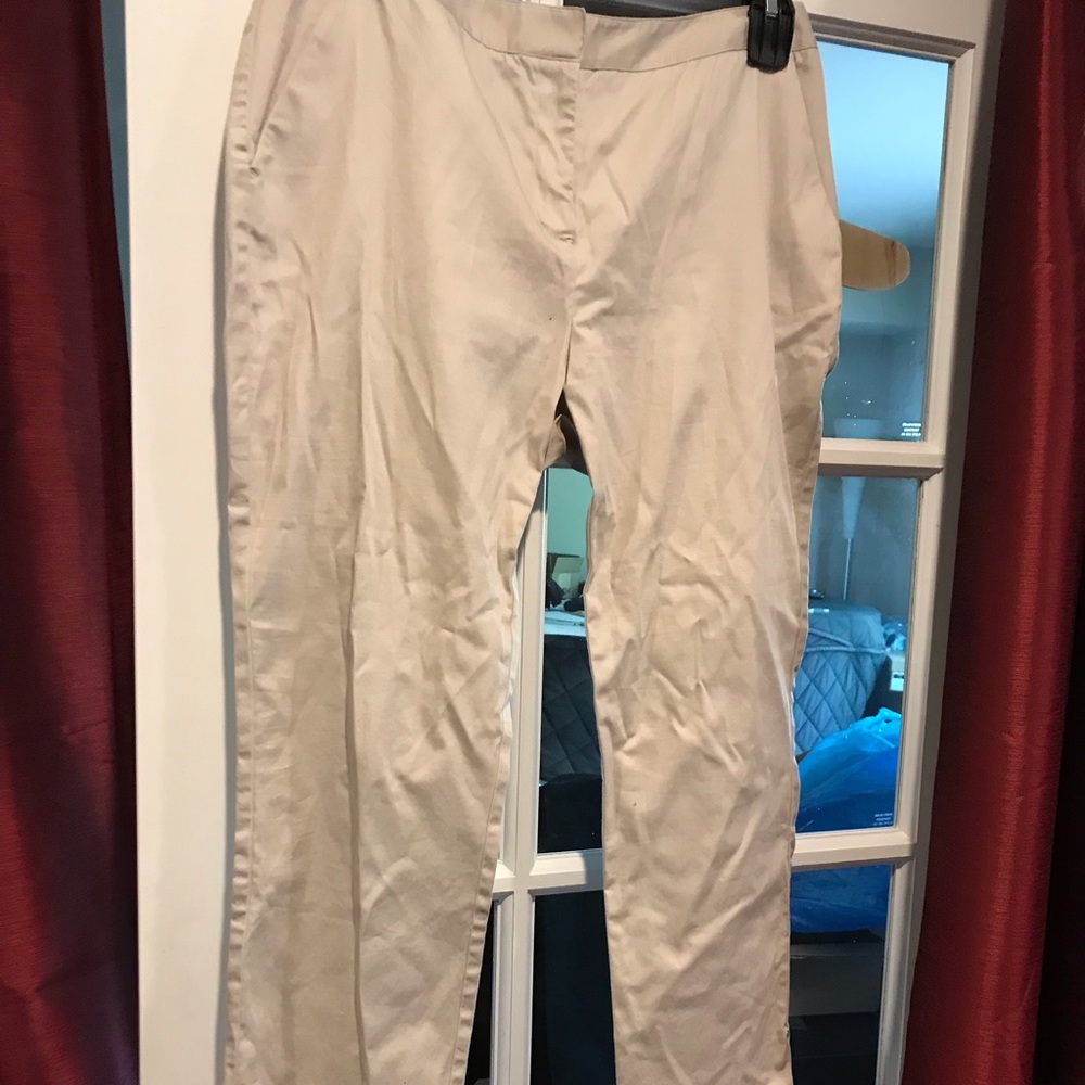 Ellen Tracy pants